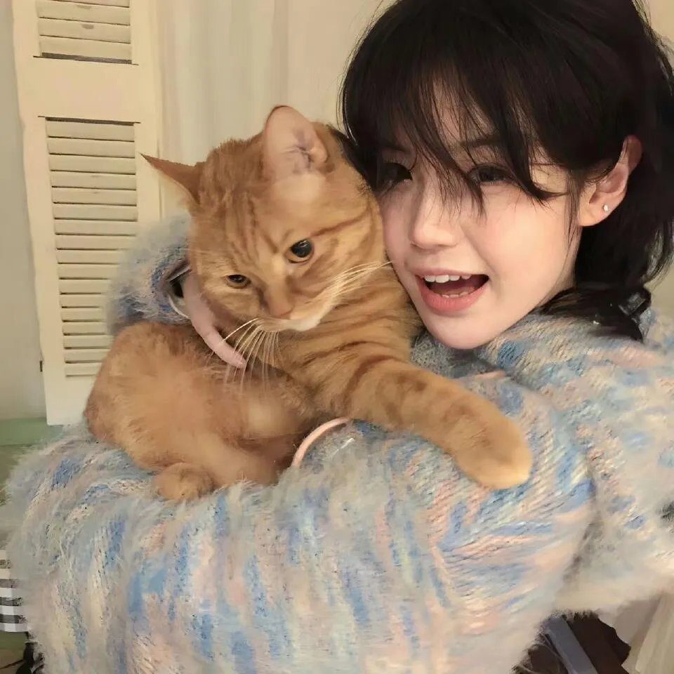 神圣之夜：恶魔猎人
